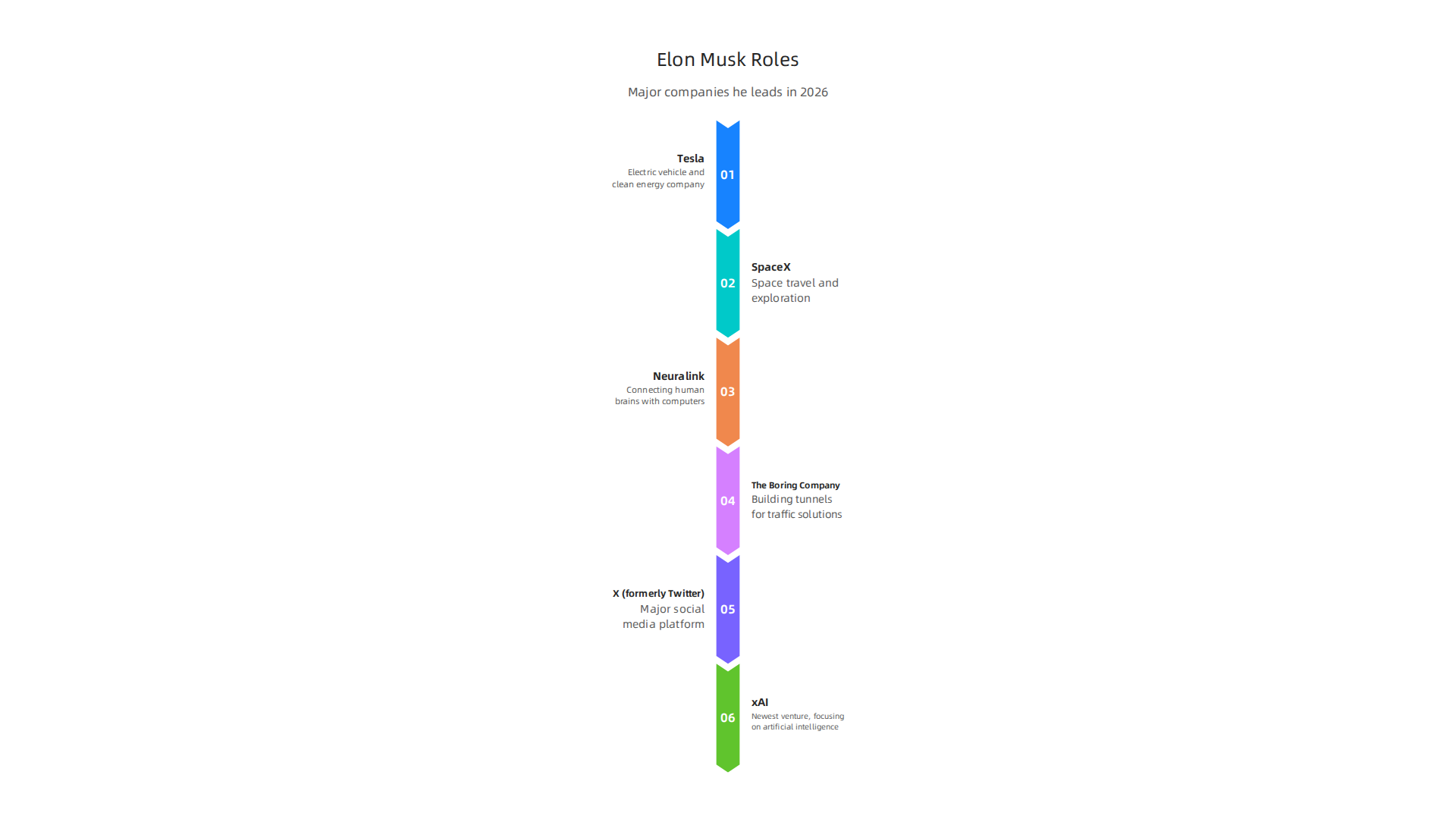 An overview of the major technology companies Elon Musk currently leads as CEO in 2026.