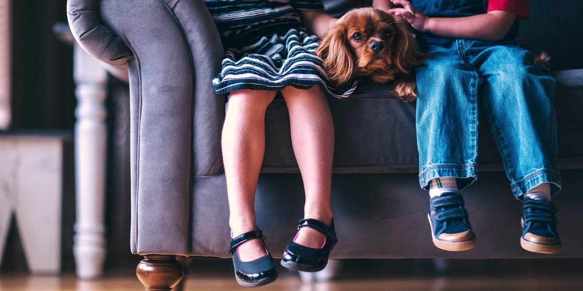 A family relaxed and enjoying entertainment together, highlighting the ease and pleasure of personalized content.